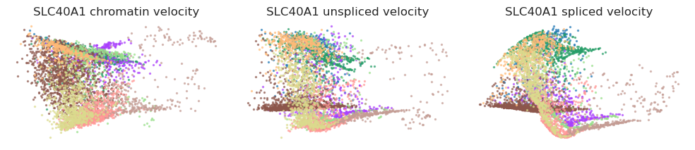 _images/HSPC_Macrophage_Integration_100_4.png