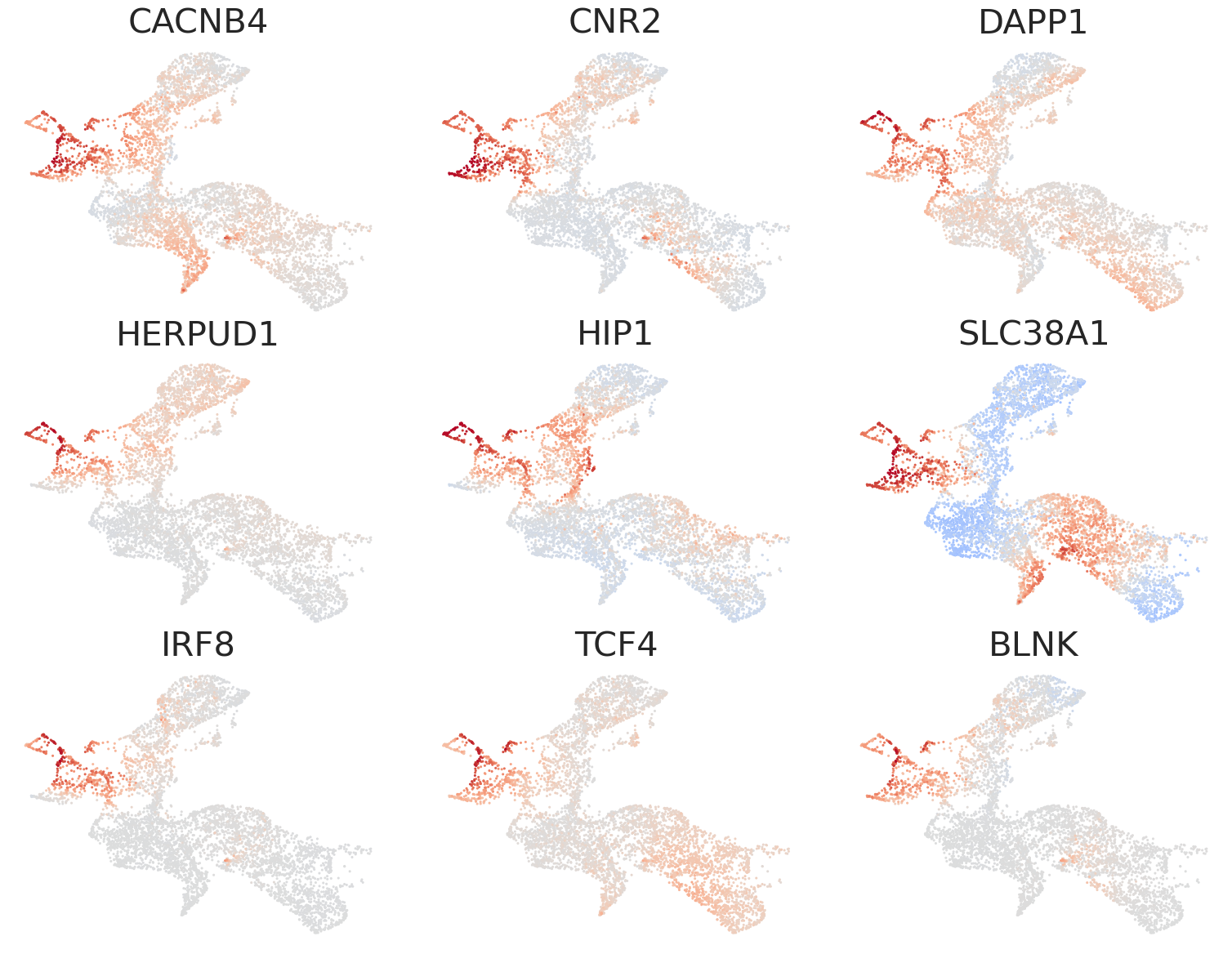 _images/HSPC_Macrophage_Integration_61_0.png