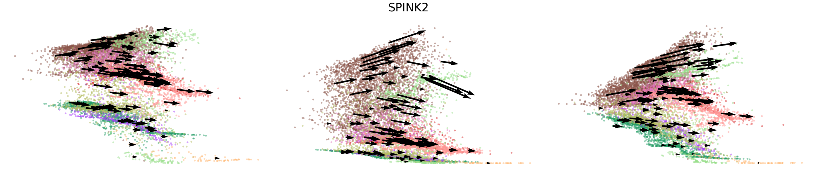 _images/HSPC_scRNA_Multiome_Integration_26_5.png