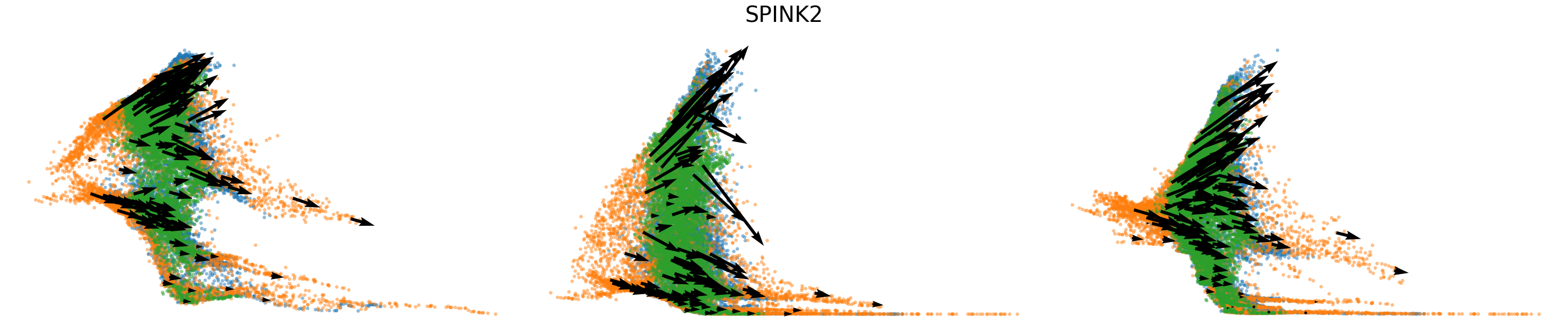_images/HSPC_scRNA_Multiome_Integration_27_5.png
