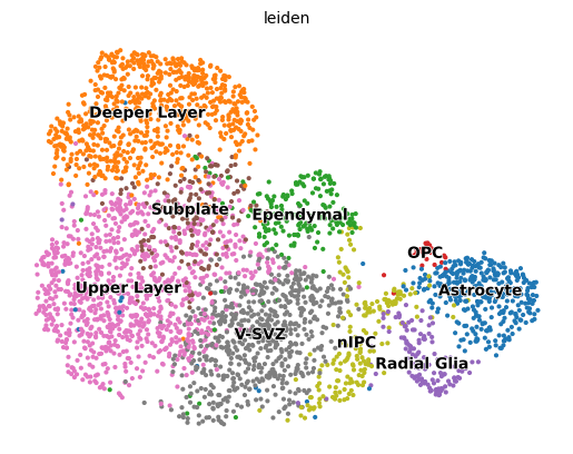 _images/Mouse_Brain_Multiome_13_1.png