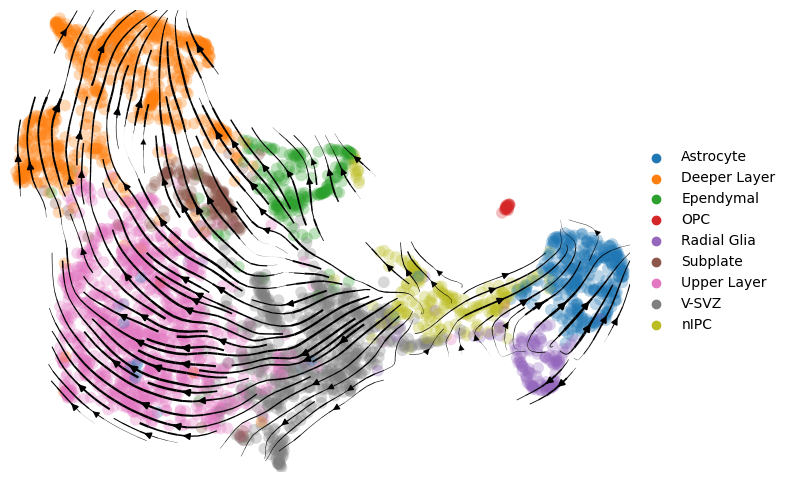 _images/Mouse_Brain_Multiome_23_1.png