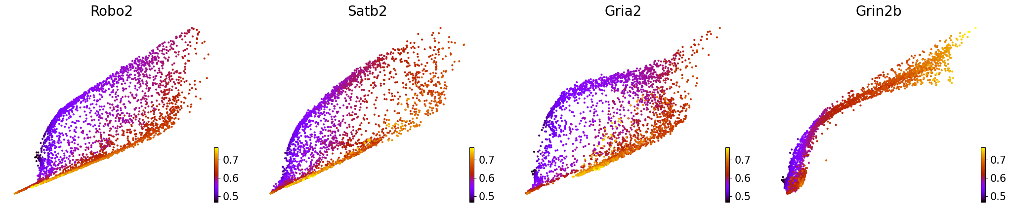 _images/Mouse_Brain_Multiome_27_1.png