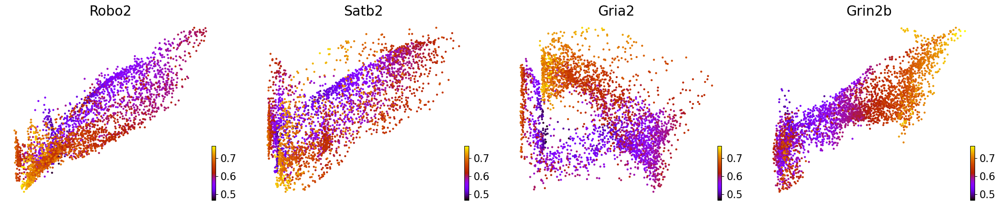 _images/Mouse_Brain_Multiome_28_1.png