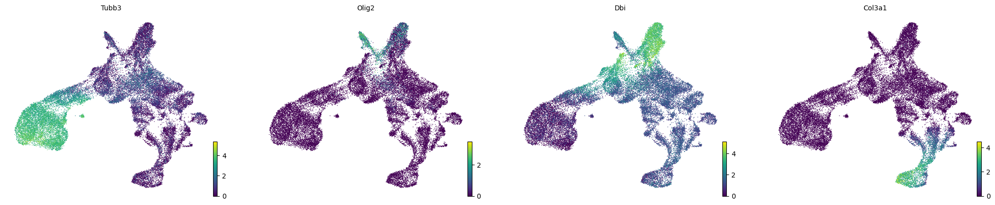 _images/Mouse_Brain_scRNA_10_0.png