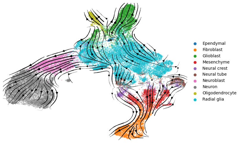 _images/Mouse_Brain_scRNA_18_3.png