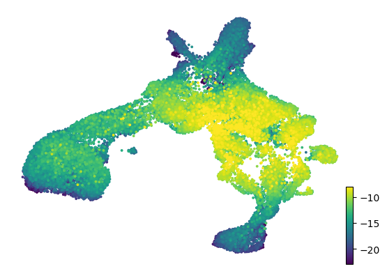 _images/Mouse_Brain_scRNA_19_0.png