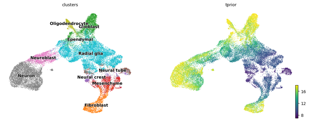 _images/Mouse_Brain_scRNA_9_0.png
