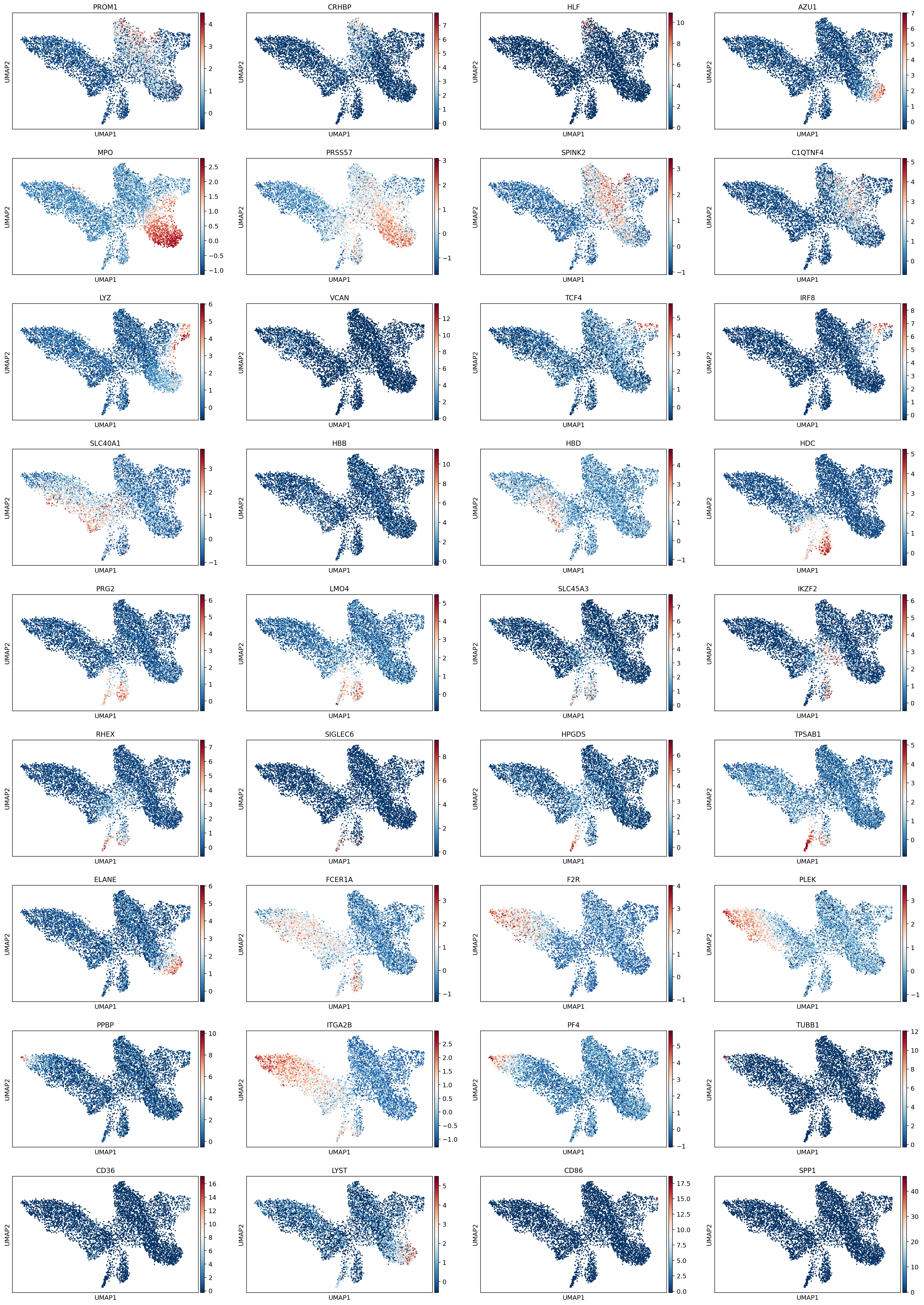 _images/Preprocessing_HSPC_71_1.png